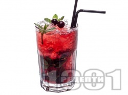  Lemon and Cassis Fizz  ,     -   